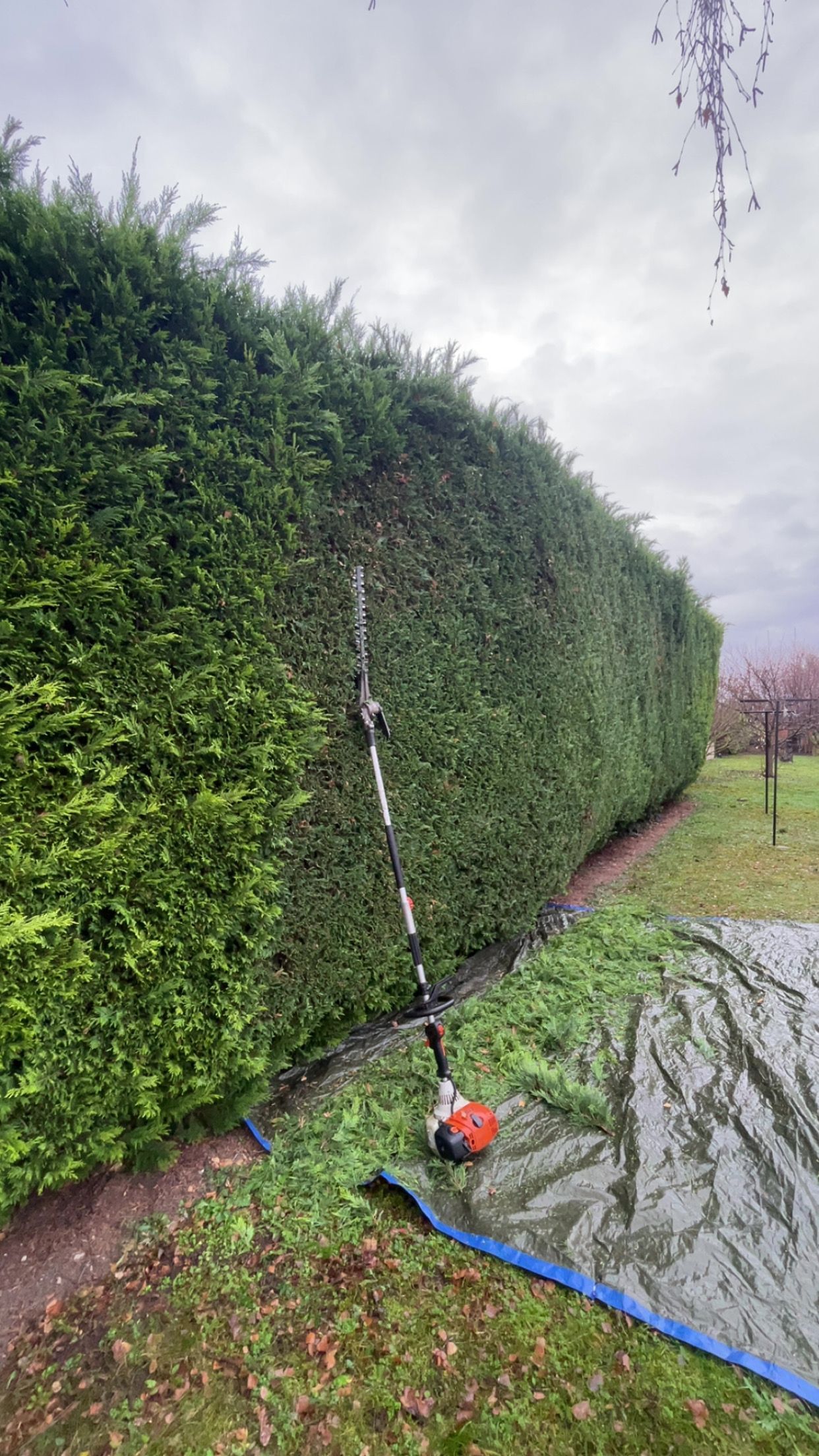 Lien vers la page entretien d'espace vert