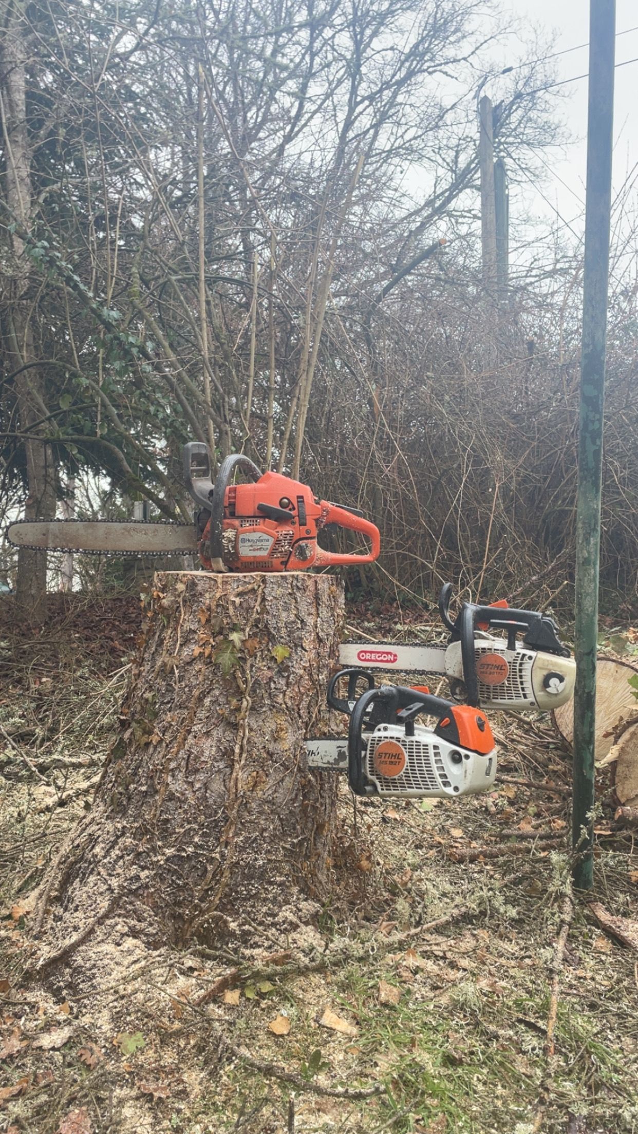 Lien vers la page élagage abattage