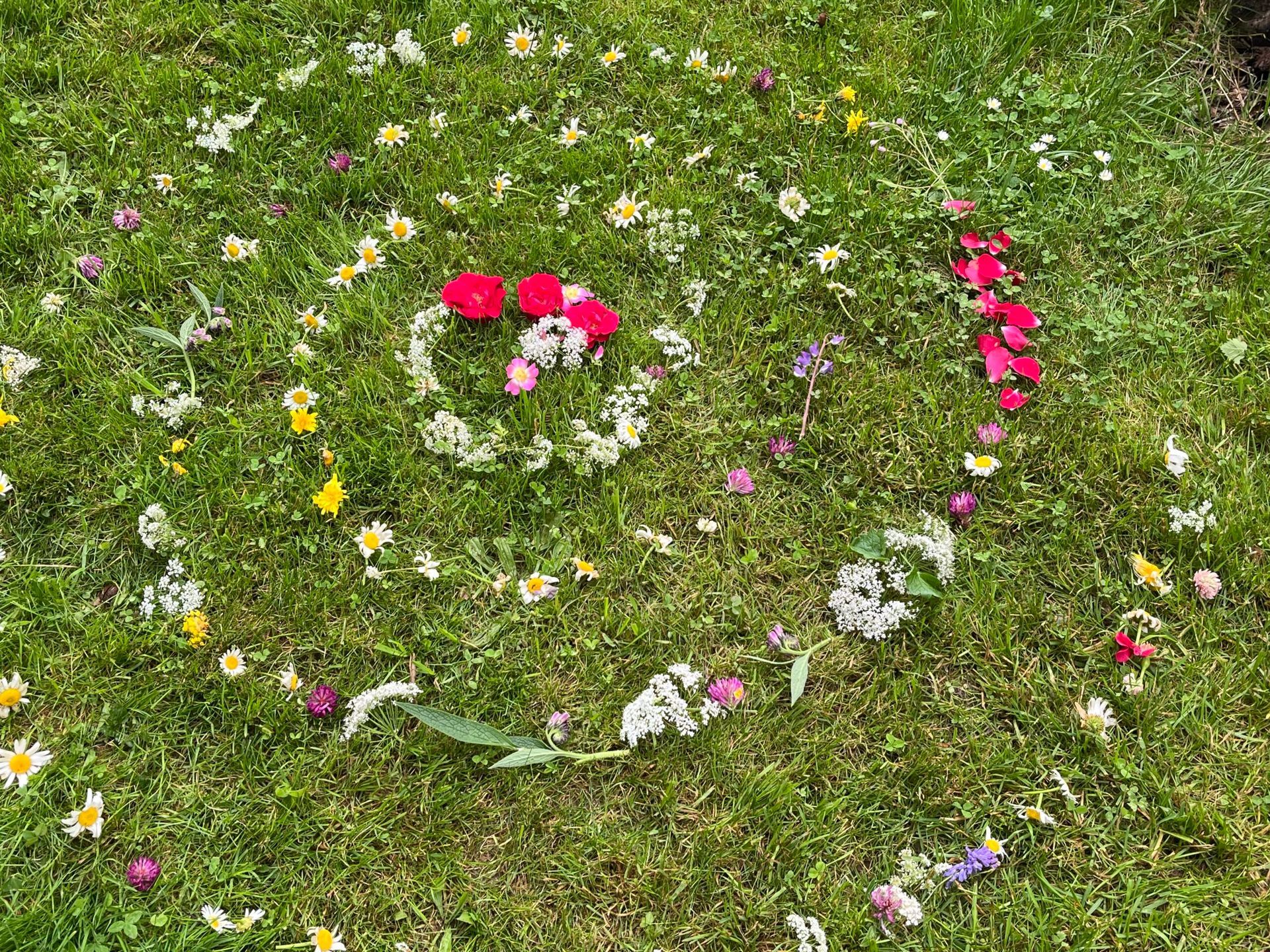 Spiralmuster aus Blumen auf Gras