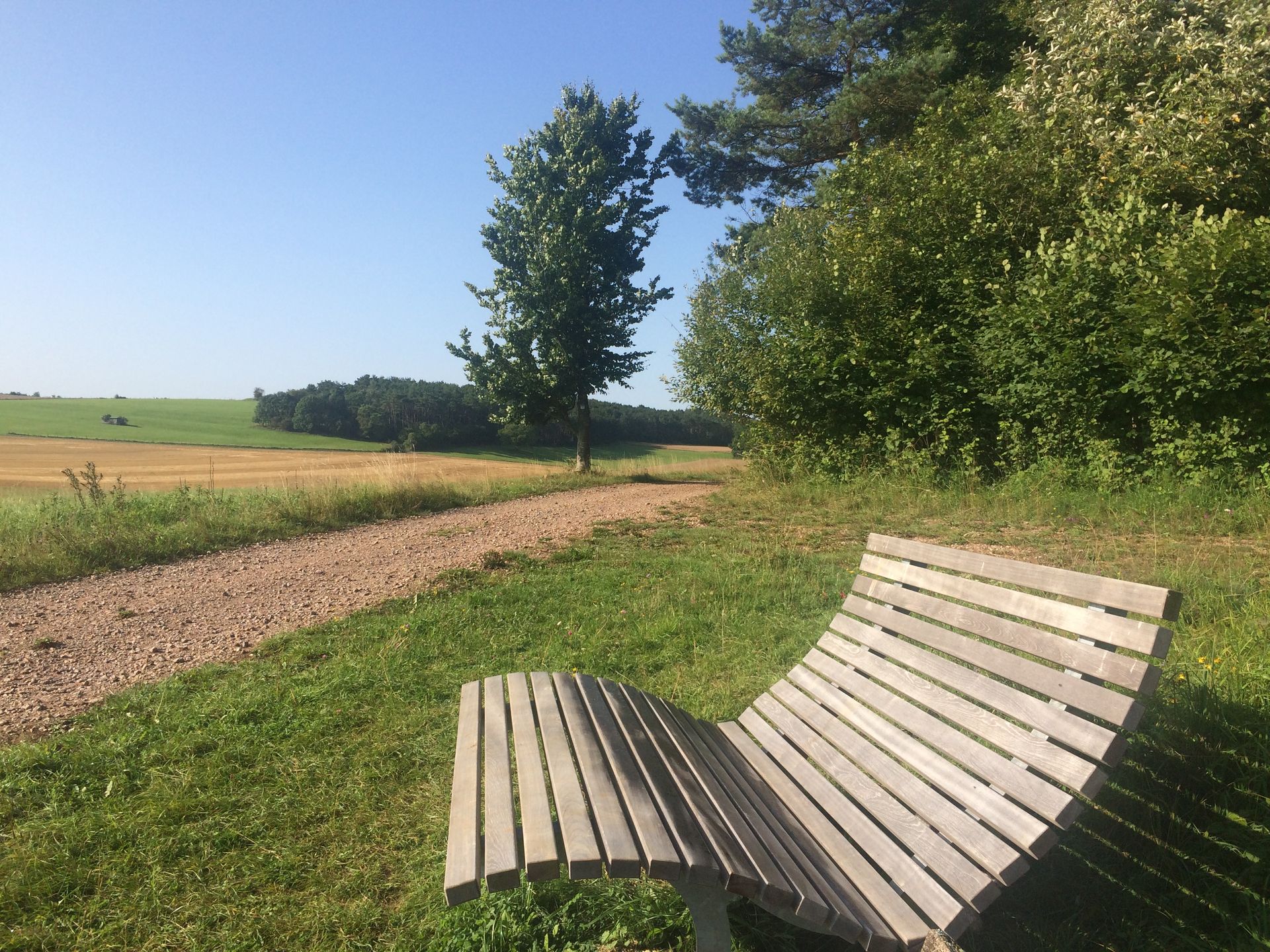 Eine Holzbank steht im Gras neben einem Feldweg