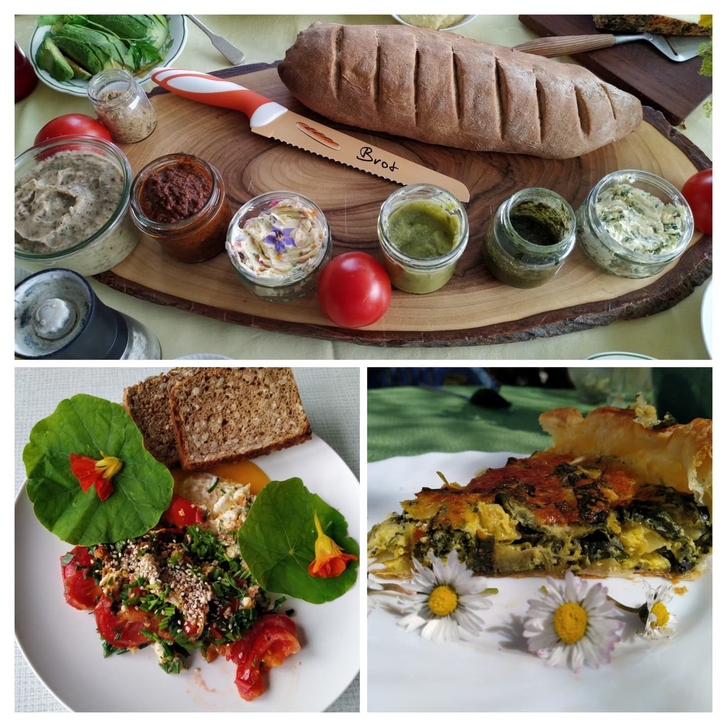 Ein Bild eines Berges in einem Quadrat auf einem weißen Hintergrund.