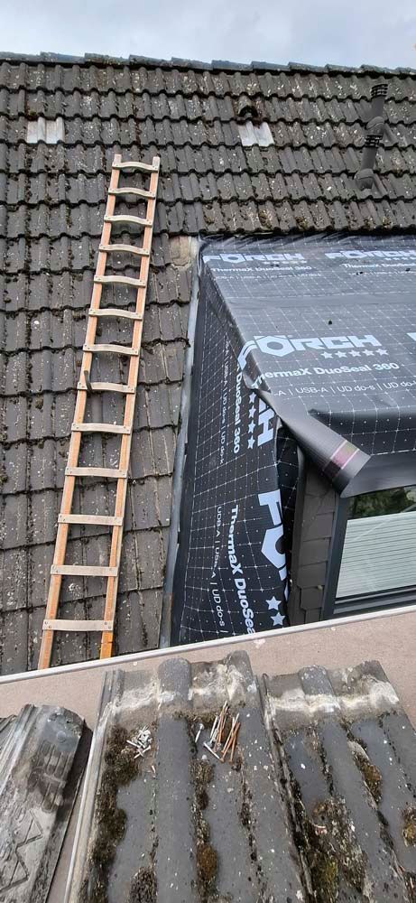 Auf einem Dach steht neben einem Fenster eine Holzleiter.