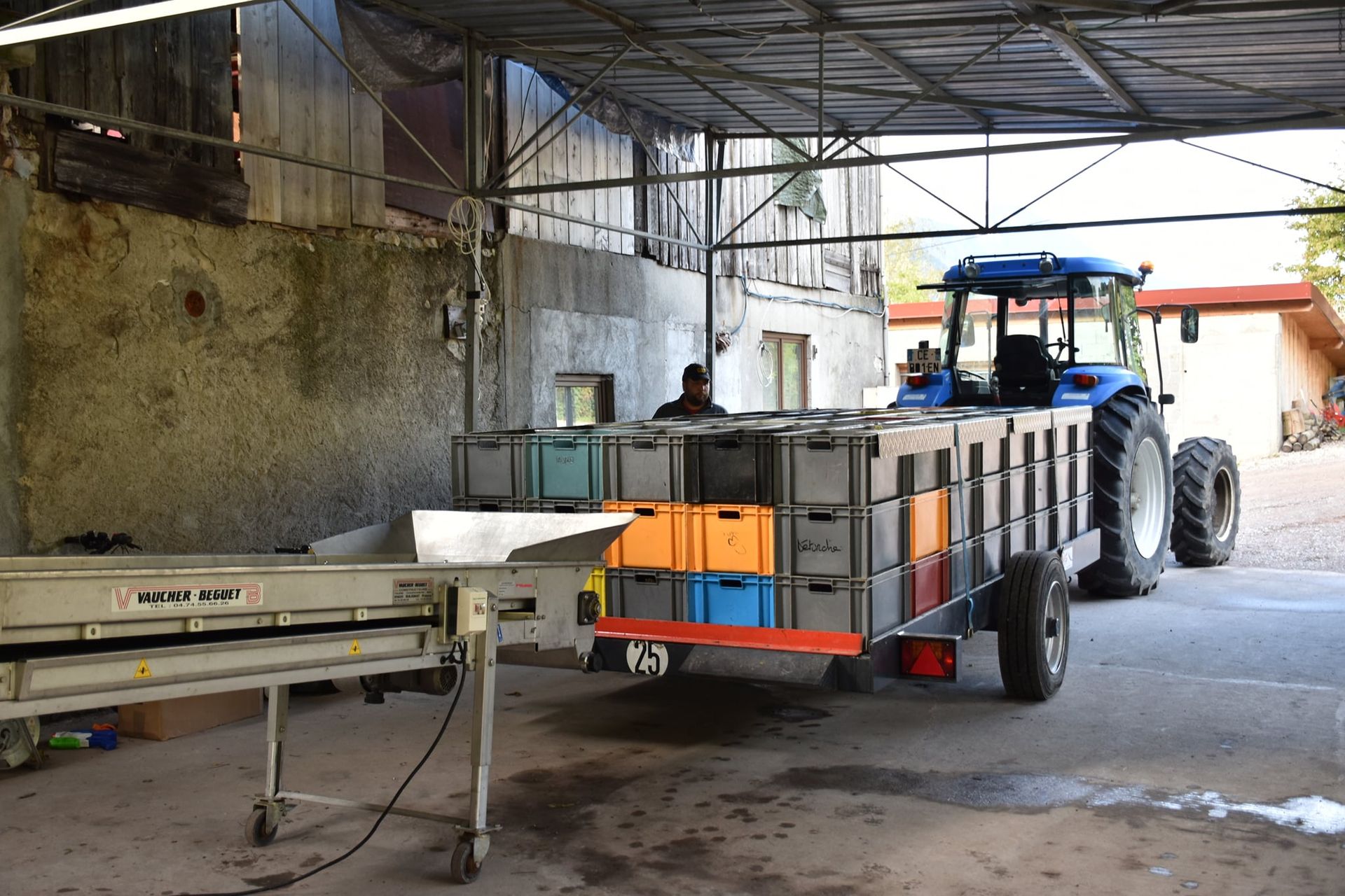 Début des vendanges