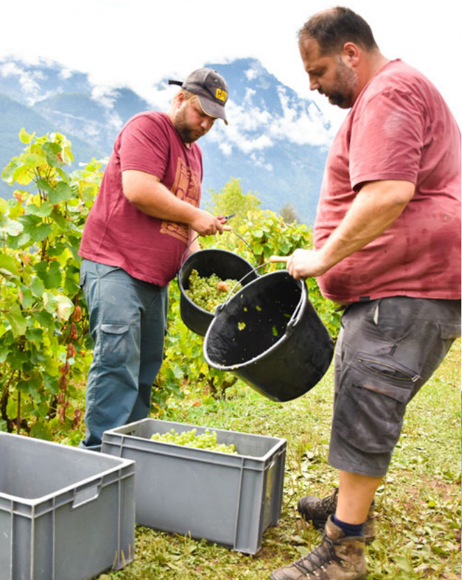 Des fruits de qualité