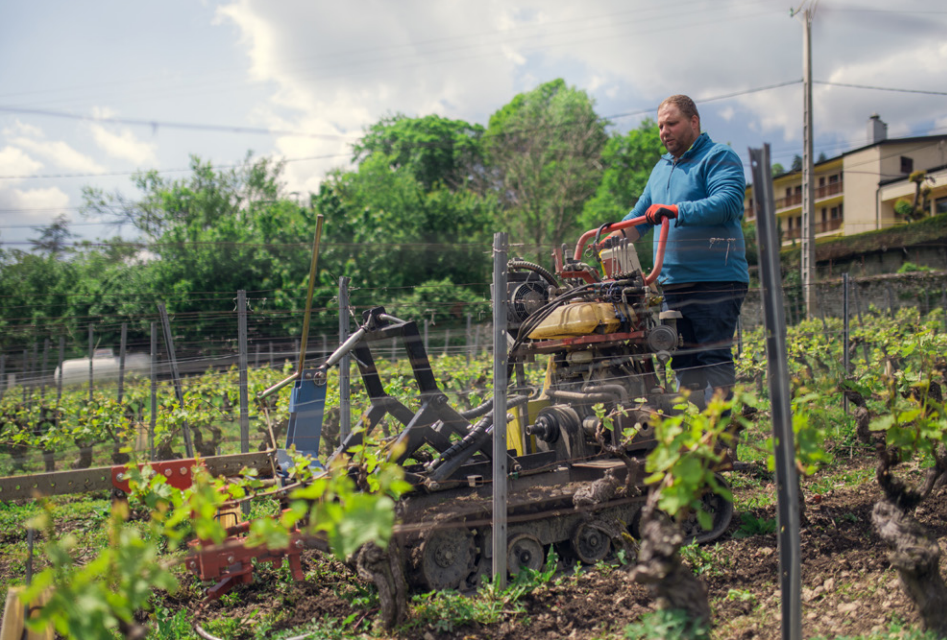 Le travail de la terre