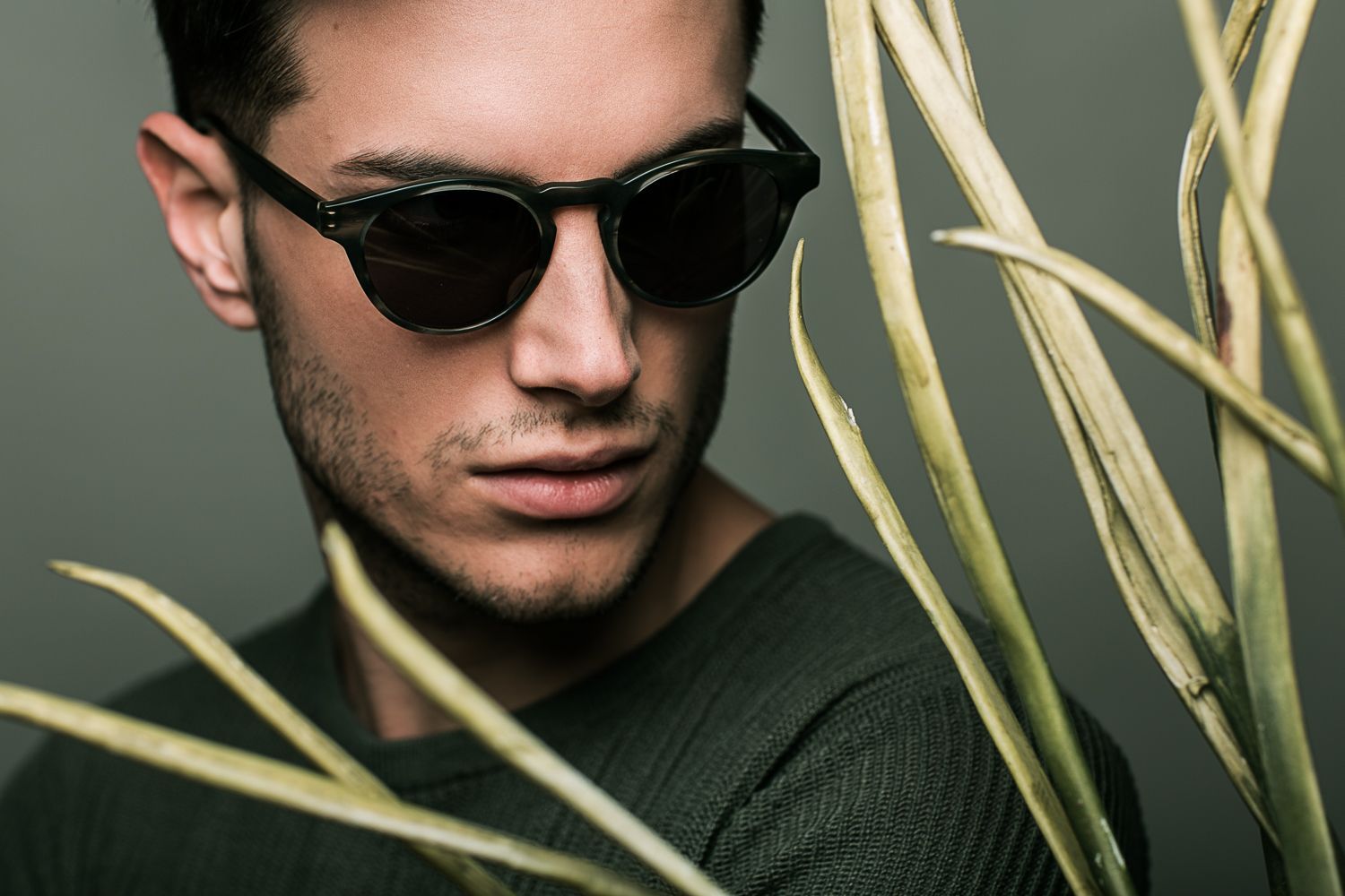 Moser Augenoptik - Grayland