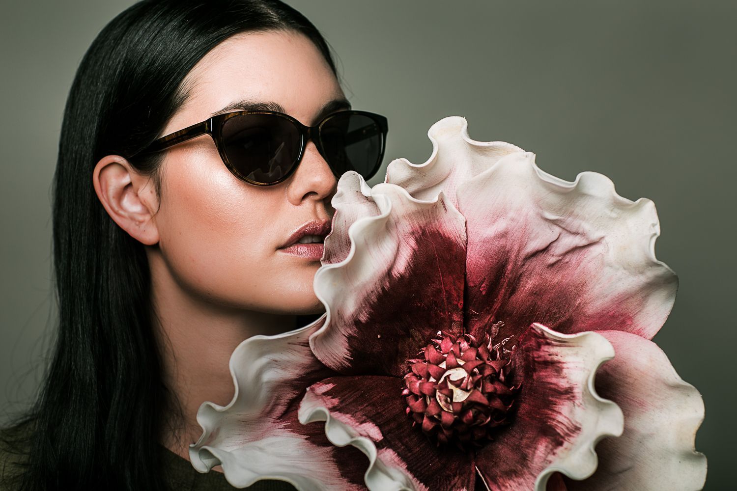 Moser Augenoptik - Grayland