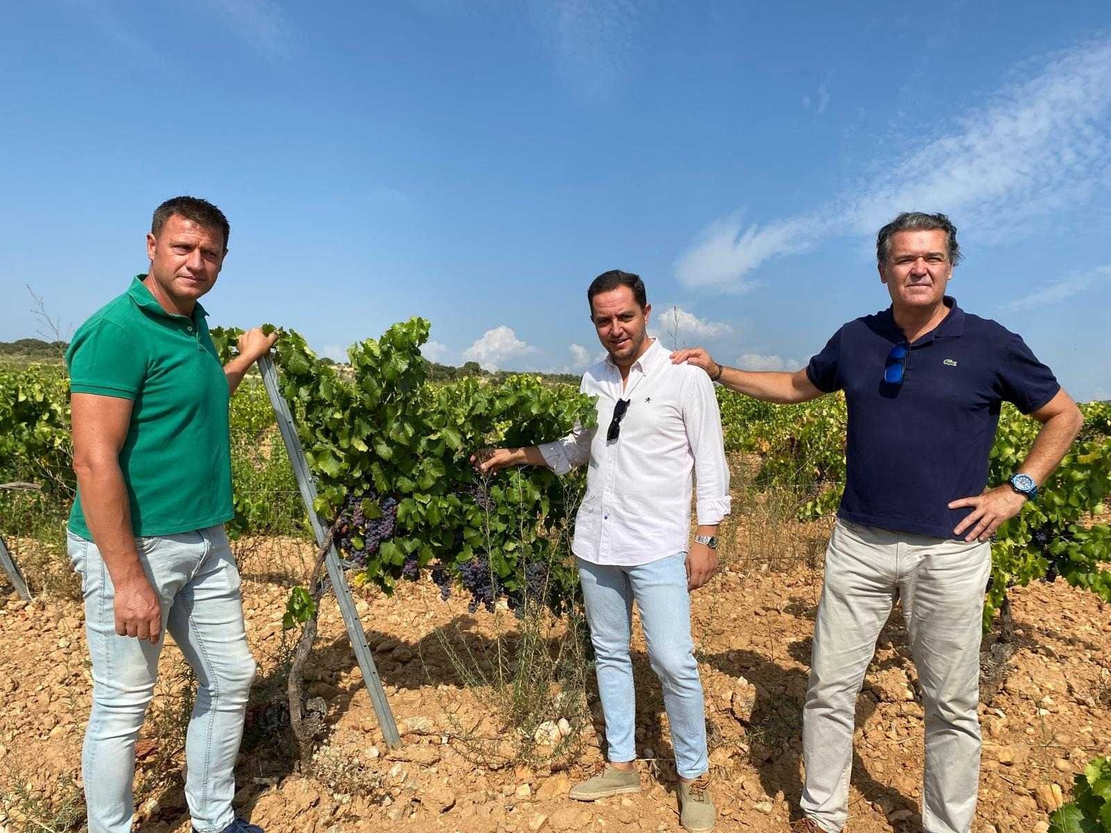 Tres hombres están parados en un viñedo mirando las uvas.