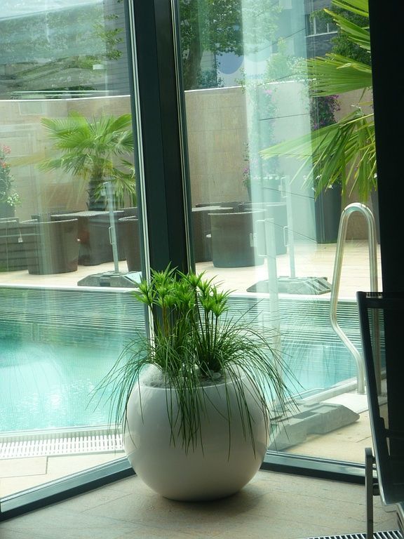 Firmendekorationen - Klara's Bluemehüsli - Sempach Station