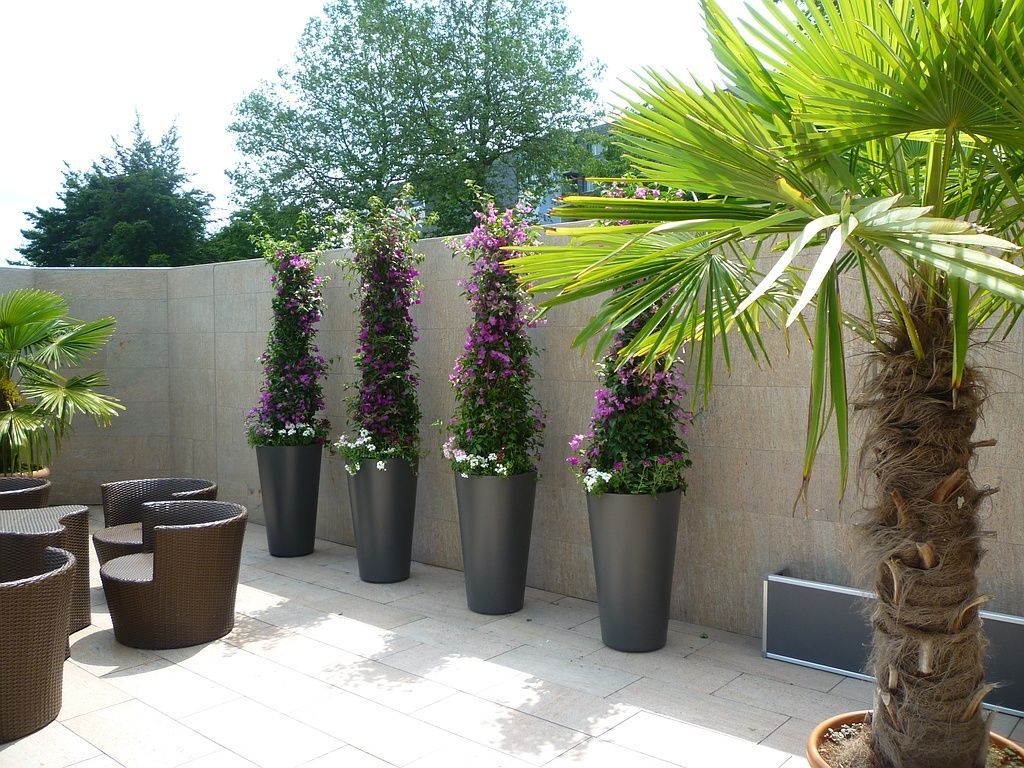 Firmendekorationen - Klara's Bluemehüsli - Sempach Station