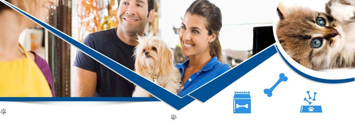 Personas con un perro y un gato con iconos de comida para mascotas.