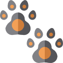 Dos huellas de patas grises con almohadillas naranjas.