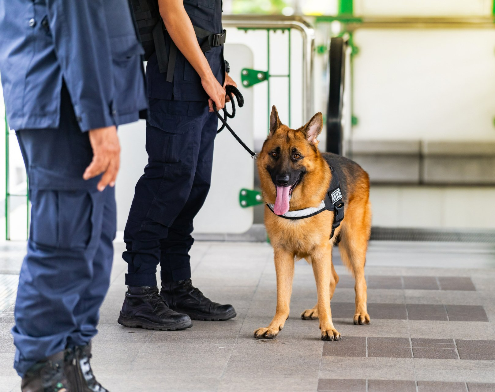 Chien de garde à côté de deux hommes