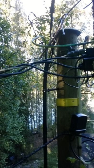 tolpan-paassa-medium