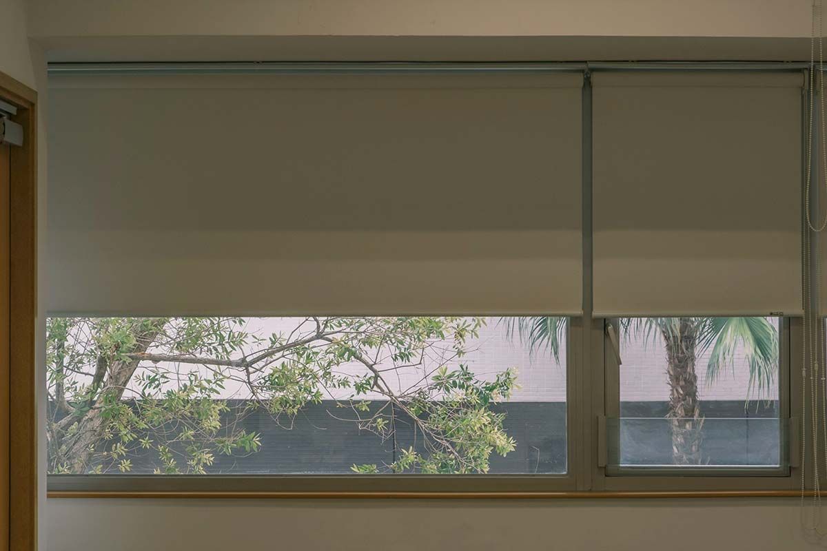 Persianas cerradas sobre una ventana amplia, con árboles visibles en el exterior