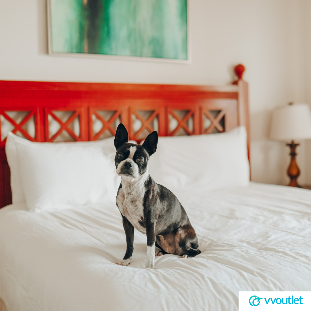 VVOutlet.net Myrtle Beach, Hotel Deals & Prices, Myrtle Beach Resort, Myrtle Beach Restaurants