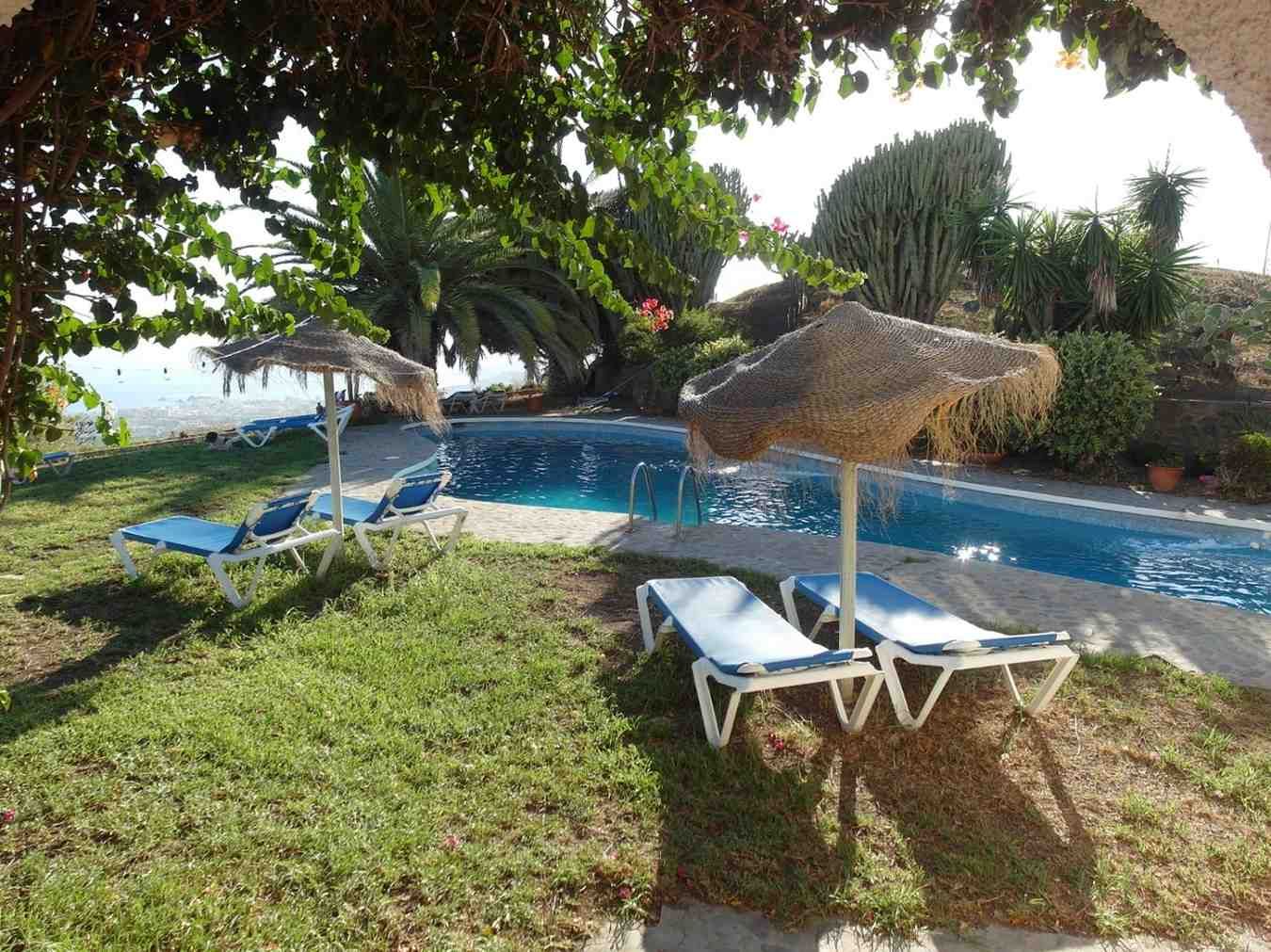 En un jardín exuberante hay una piscina con tumbonas y sombrillas de paja a la sombra de un árbol.