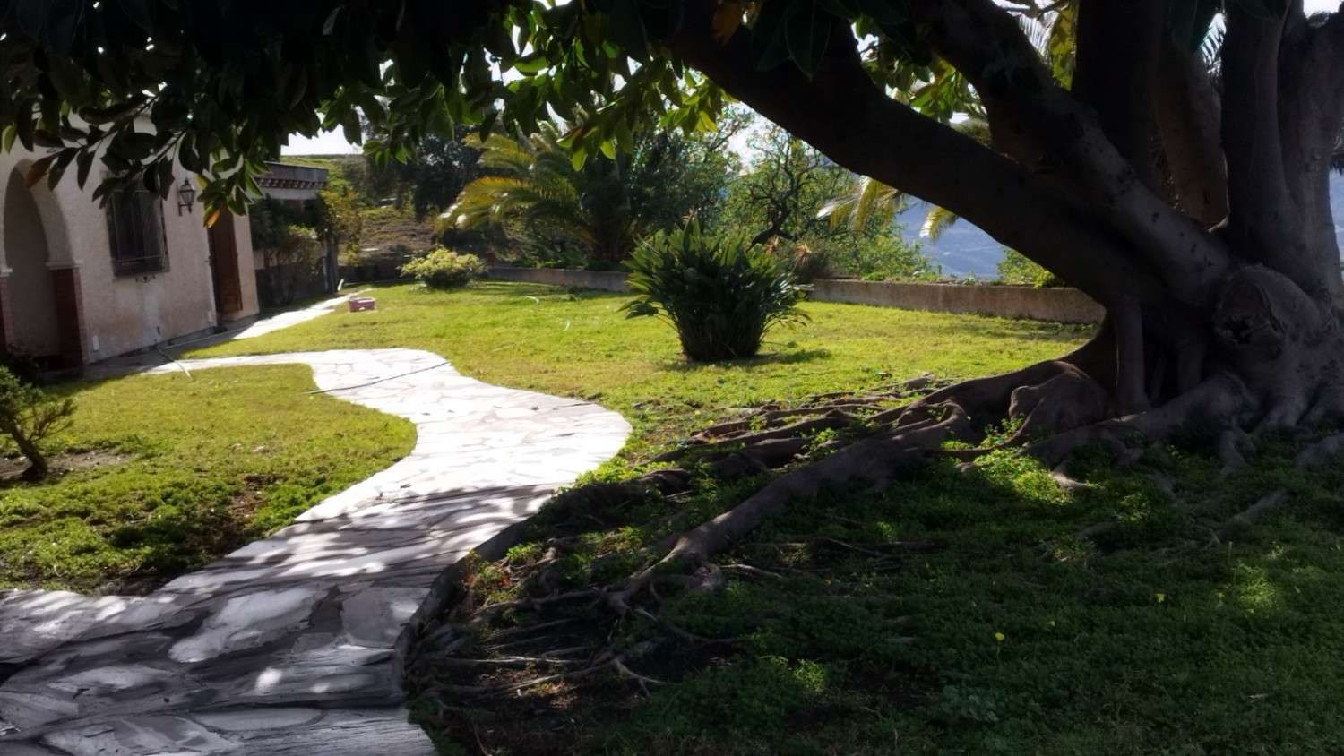 Un sendero de piedra serpentea a través de un césped 
