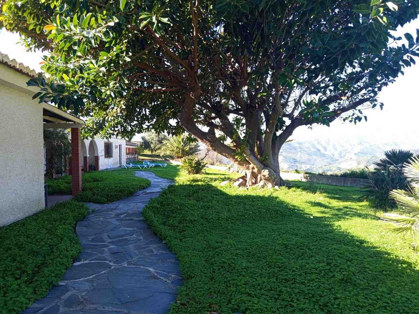 Un sendero de piedra serpentea a través de un césped verde 