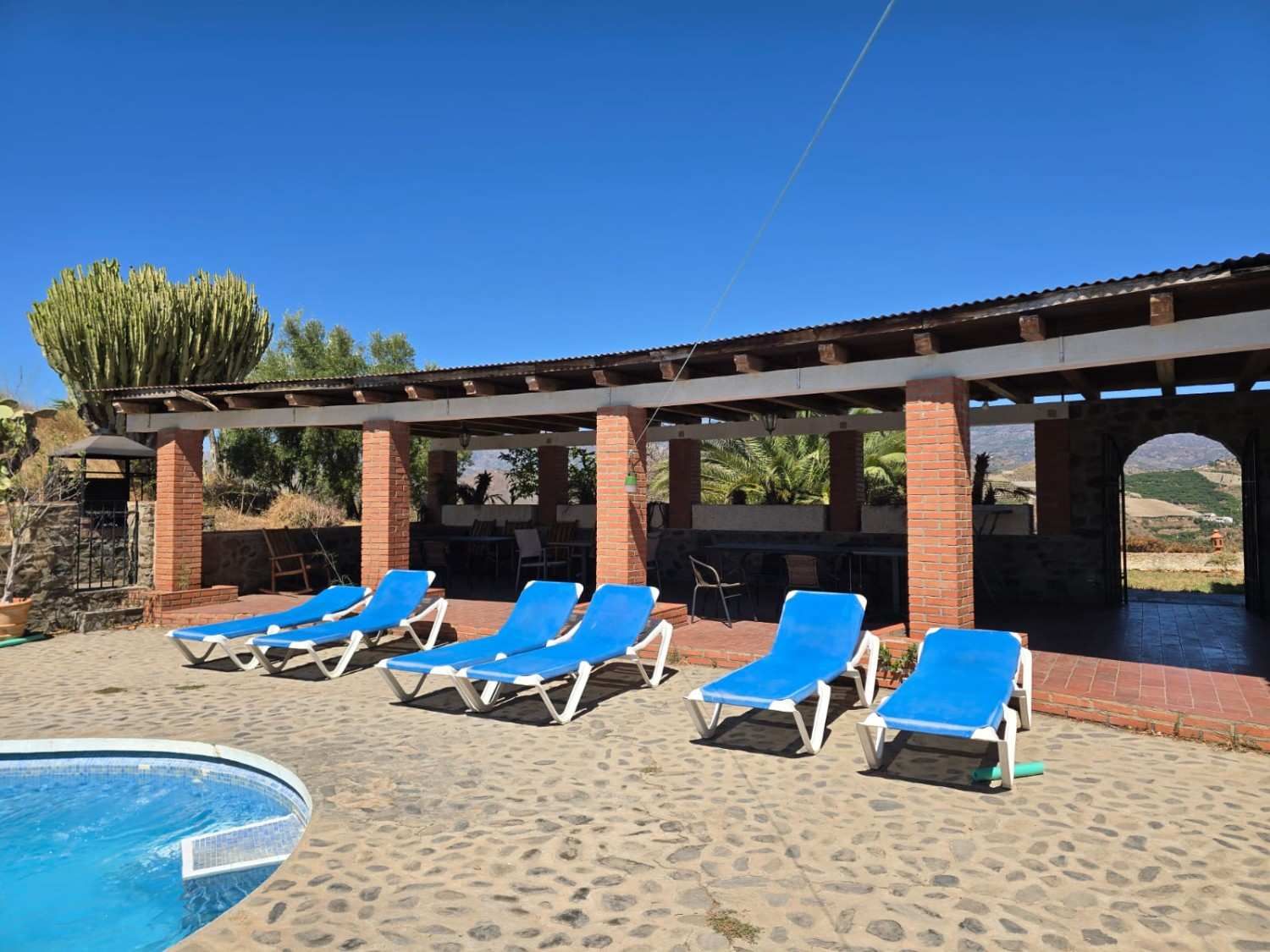 Una hilera de tumbonas azules en la terraza pavimentada de una piscina, bajo una pérgola de madera, en un día soleado.