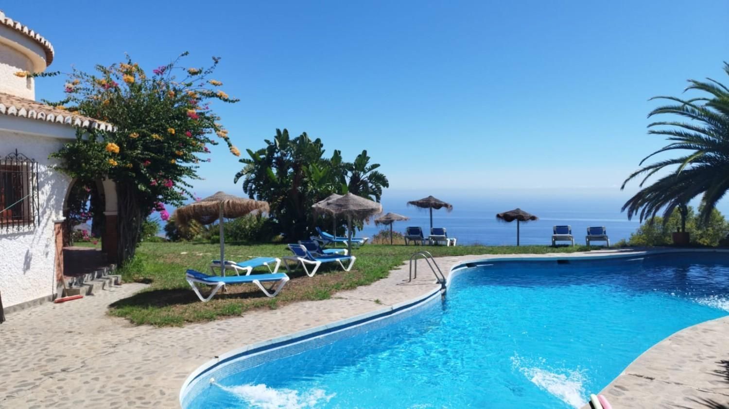 Una soleada piscina al aire libre con tumbonas y sombrillas de paja con vistas a un mar azul brillante.