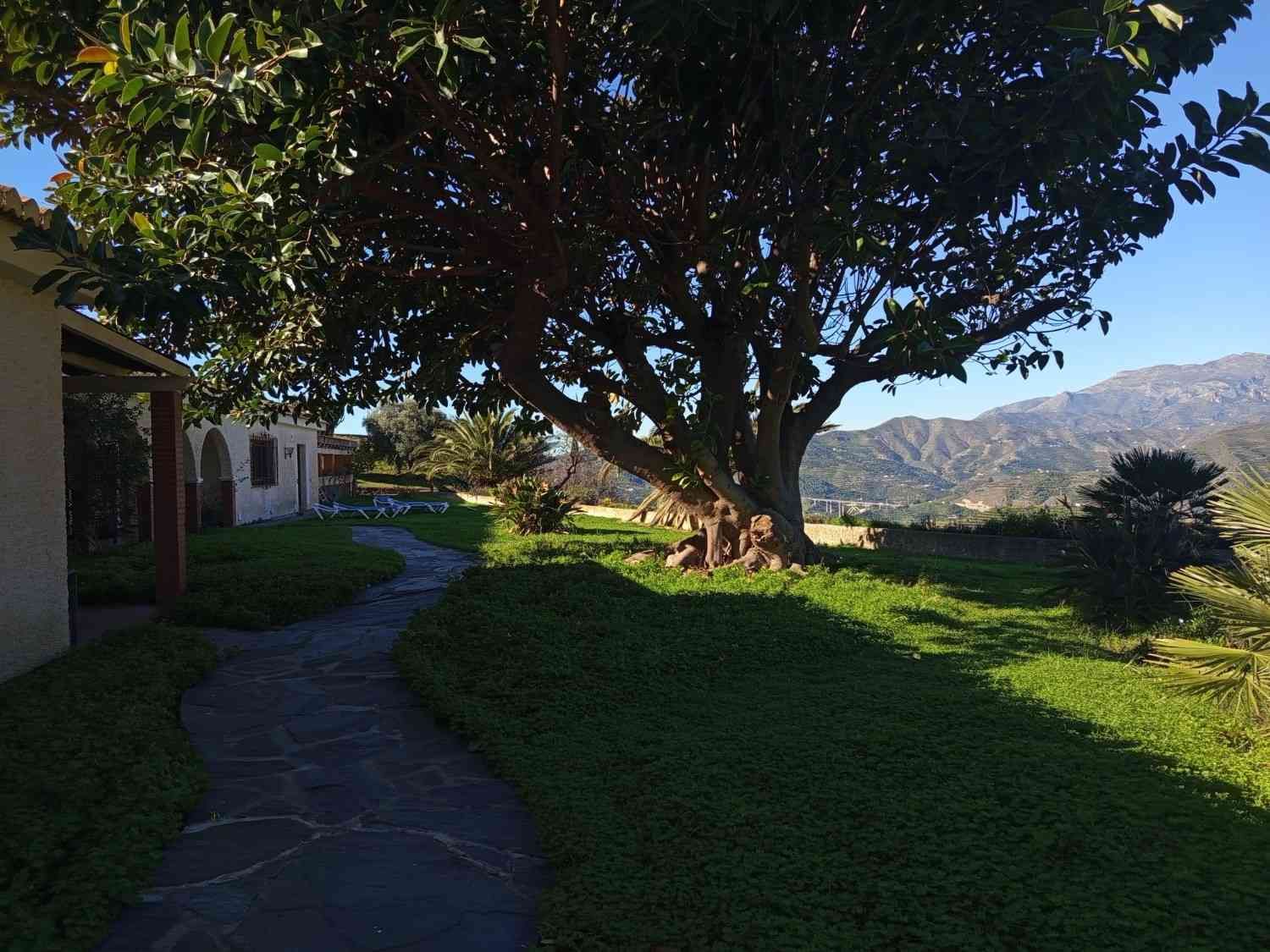 Un sendero empedrado atraviesa un jardín exuberante y cubierto de hierba