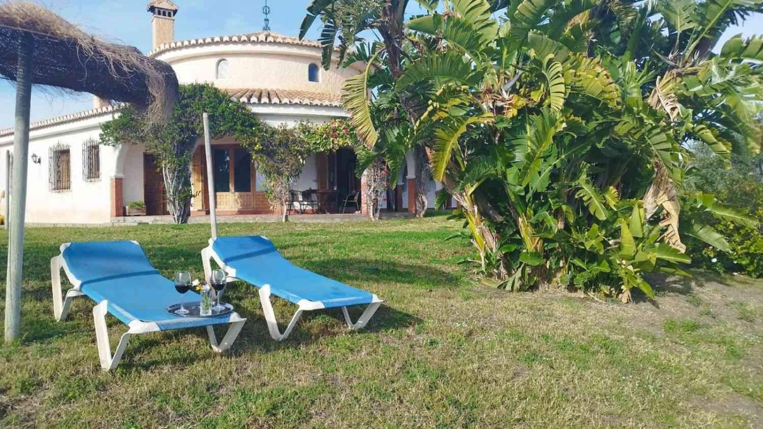 Dos tumbonas azules con copas de vino sobre un césped frente a una villa blanca con techo abovedado y exuberante vegetación.