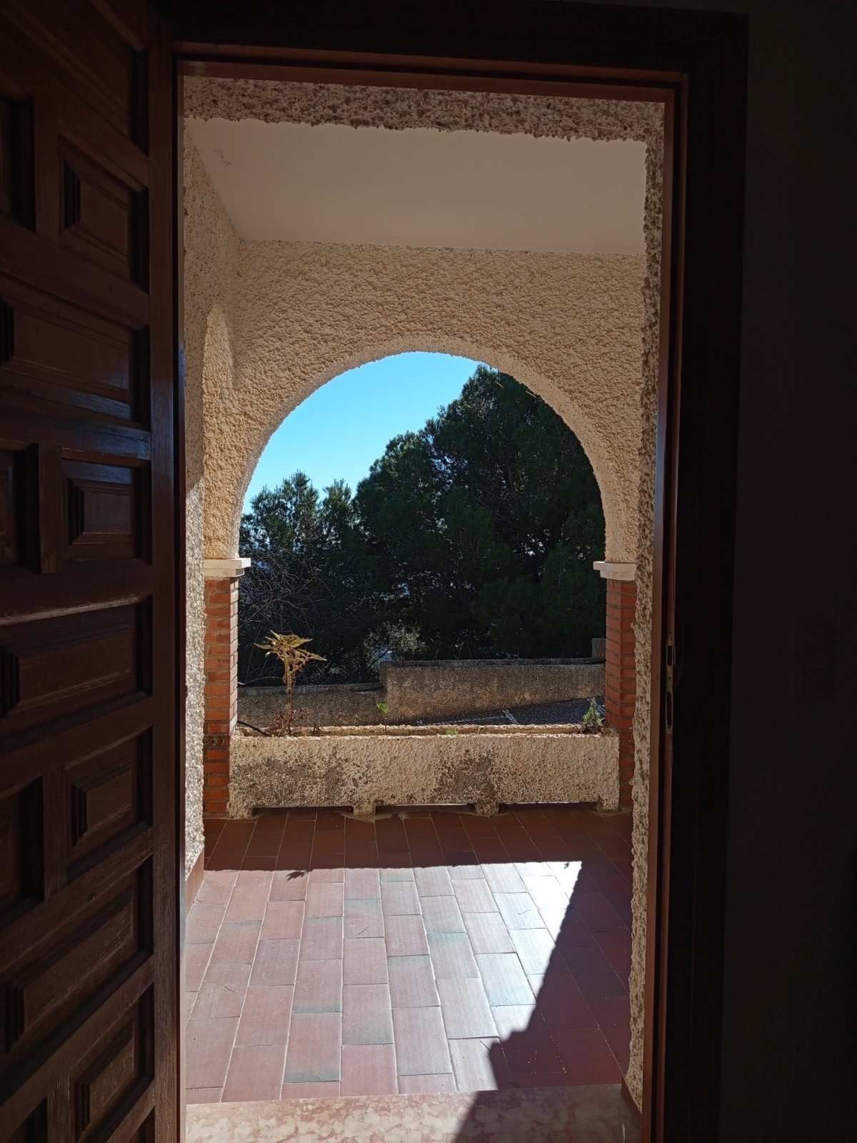 Una vista a través de una puerta abierta que da a un patio soleado con arco, suelo de baldosas y árboles al fondo.