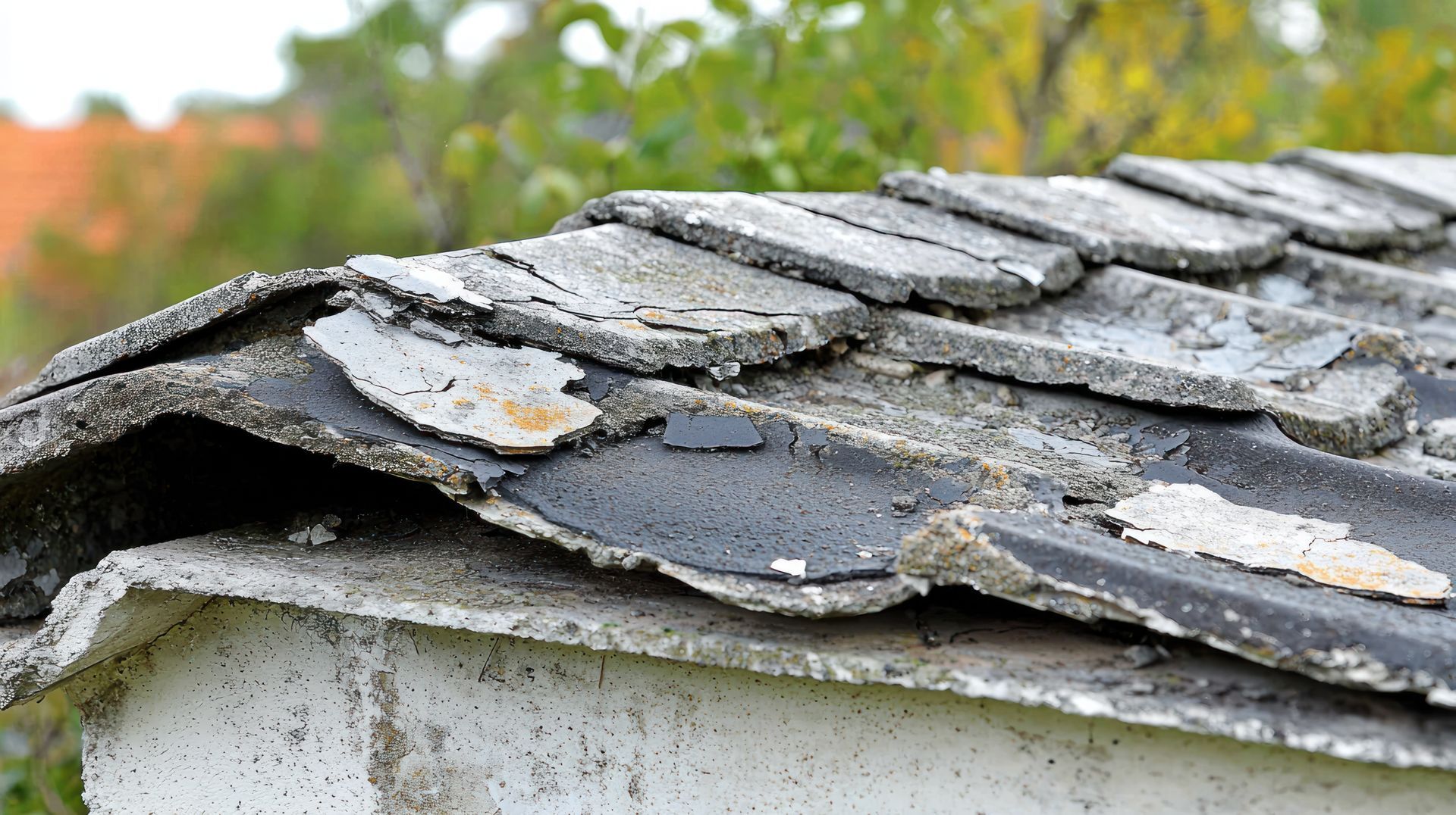 Toit de remise blanc en bardeaux d'asphalte abîmés et érodés par les intempéries.
