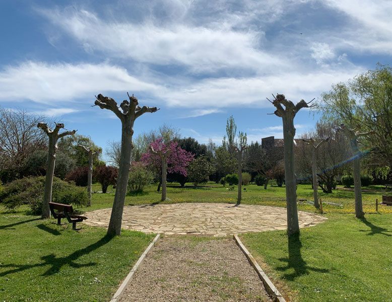 Un parque con árboles y un banco en el medio.