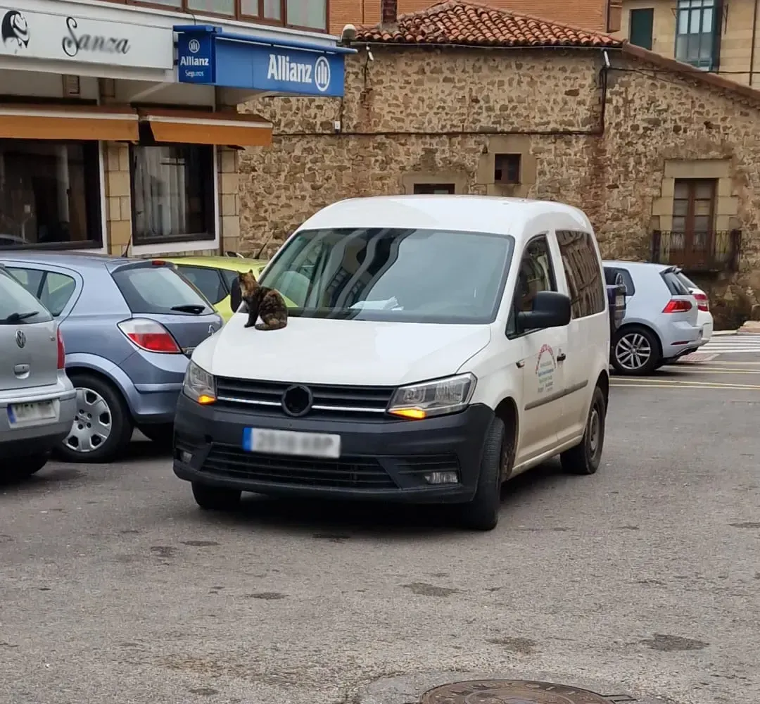 Tres camiones de caja blanca estacionados frente a un edificio de varios pisos.