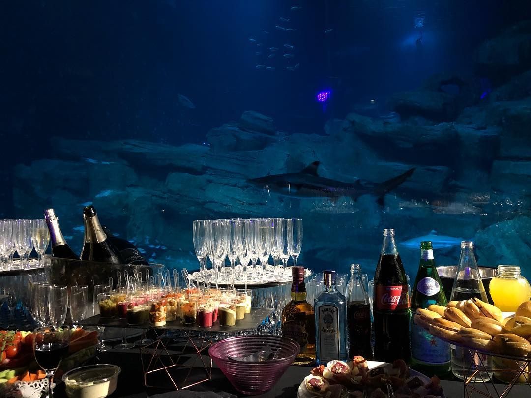 Buffets dans un aquarium