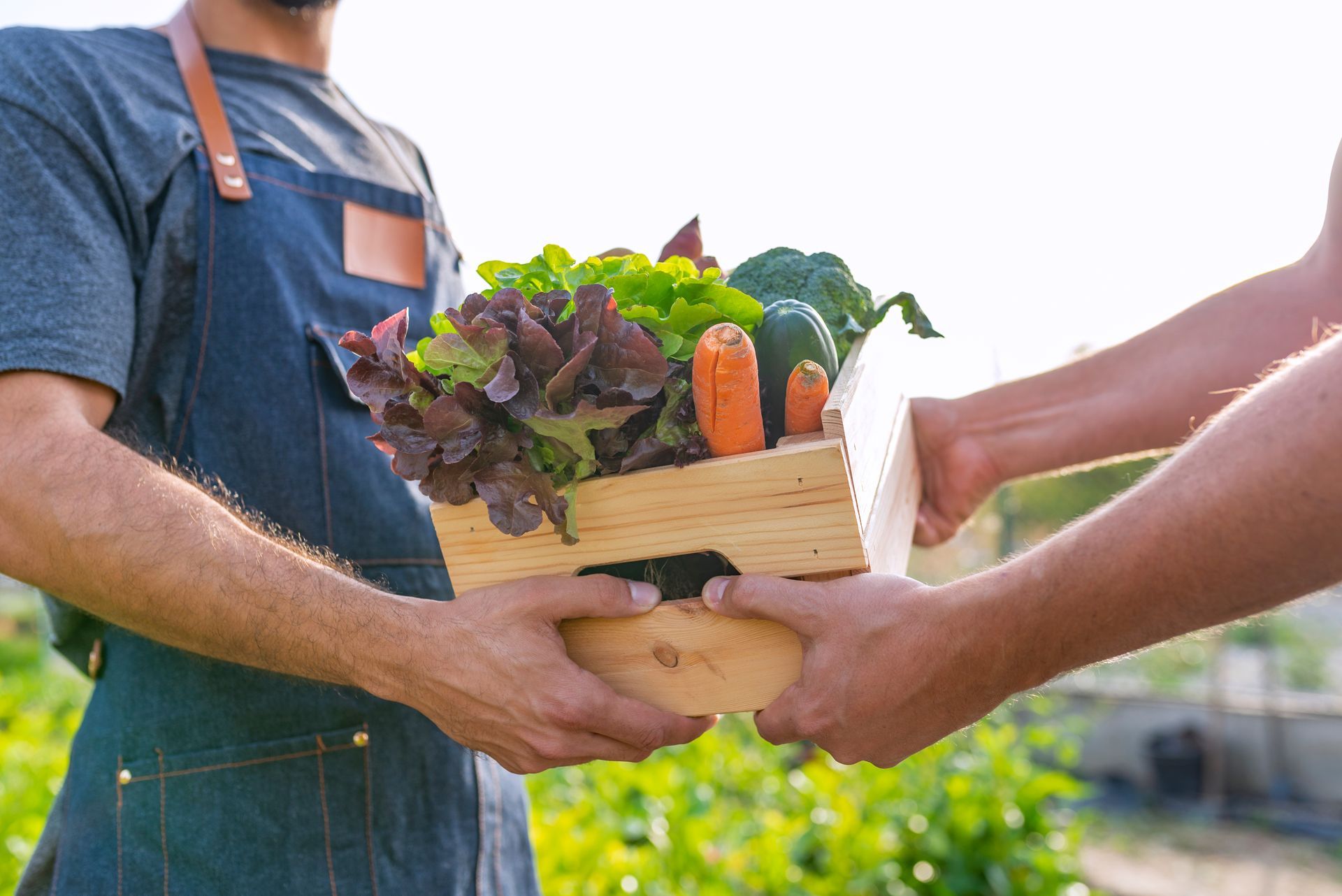Légumes frais vendus au marché fermier