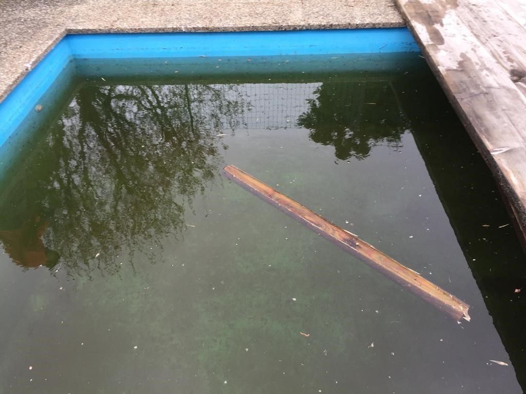 SALI GmbH Reinigungen