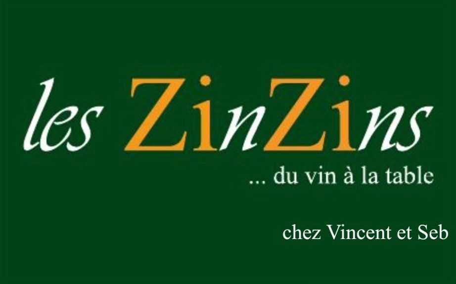 Logo Les ZInZIns
