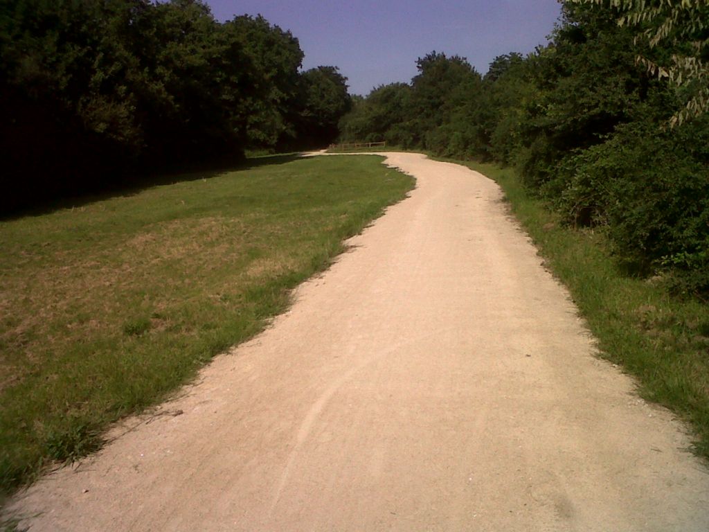 chemin de promenade