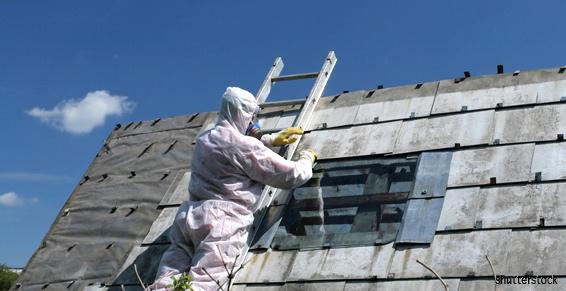 Entreprise de couverture : démoussage de toit dans le Finistère 