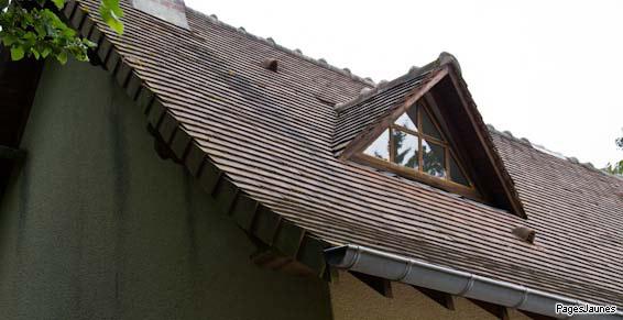 Démoussage de vos toits par l'artisan couvreur, Caurant Julien à Plonéour-Lanvern (29)