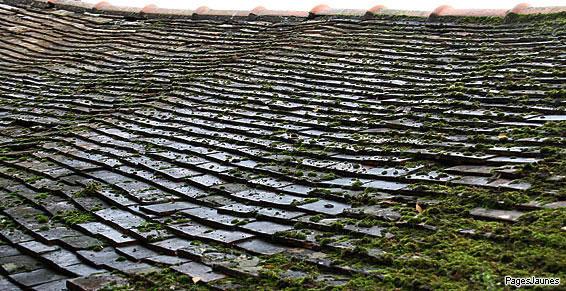 Démoussage de vos toits par l'artisan couvreur, Caurant Julien à Plonéour-Lanvern (29)