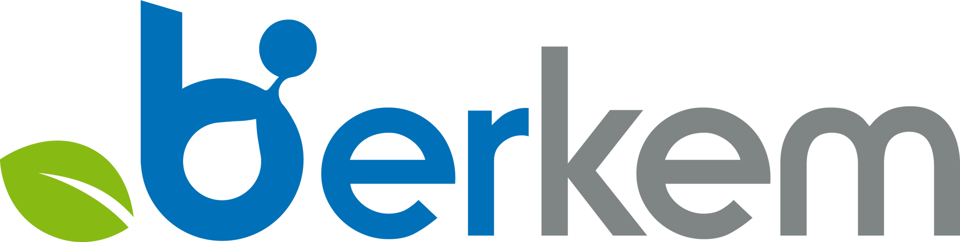 Logo Berkem