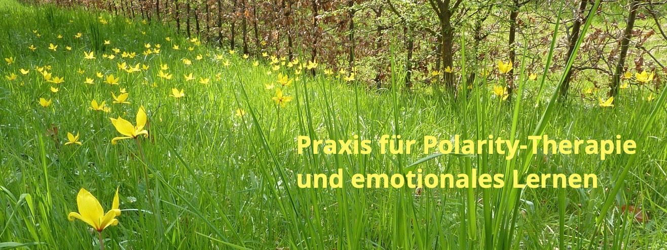 Oh Stress, lass nach