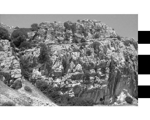 Una fotografía en blanco y negro de un acantilado rocoso con árboles.