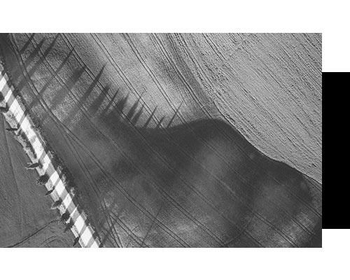Una fotografía en blanco y negro de una persona parada en un campo.