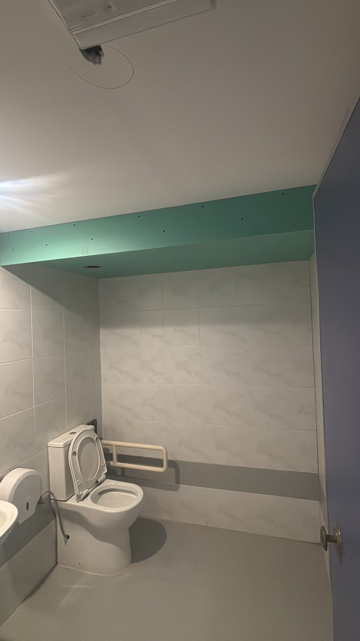 Cabina de baño accesible con inodoro blanco, barras de apoyo y pared decorativa de techo color turquesa.