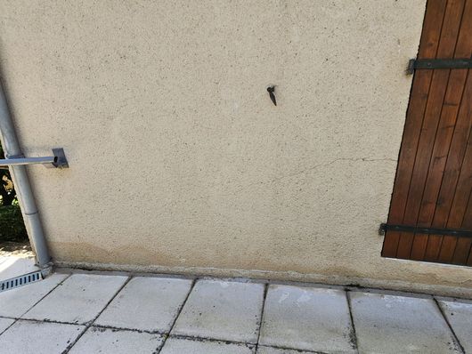Mur extérieur en stuc beige jouxtant un trottoir carrelé et une porte avec des volets en bois