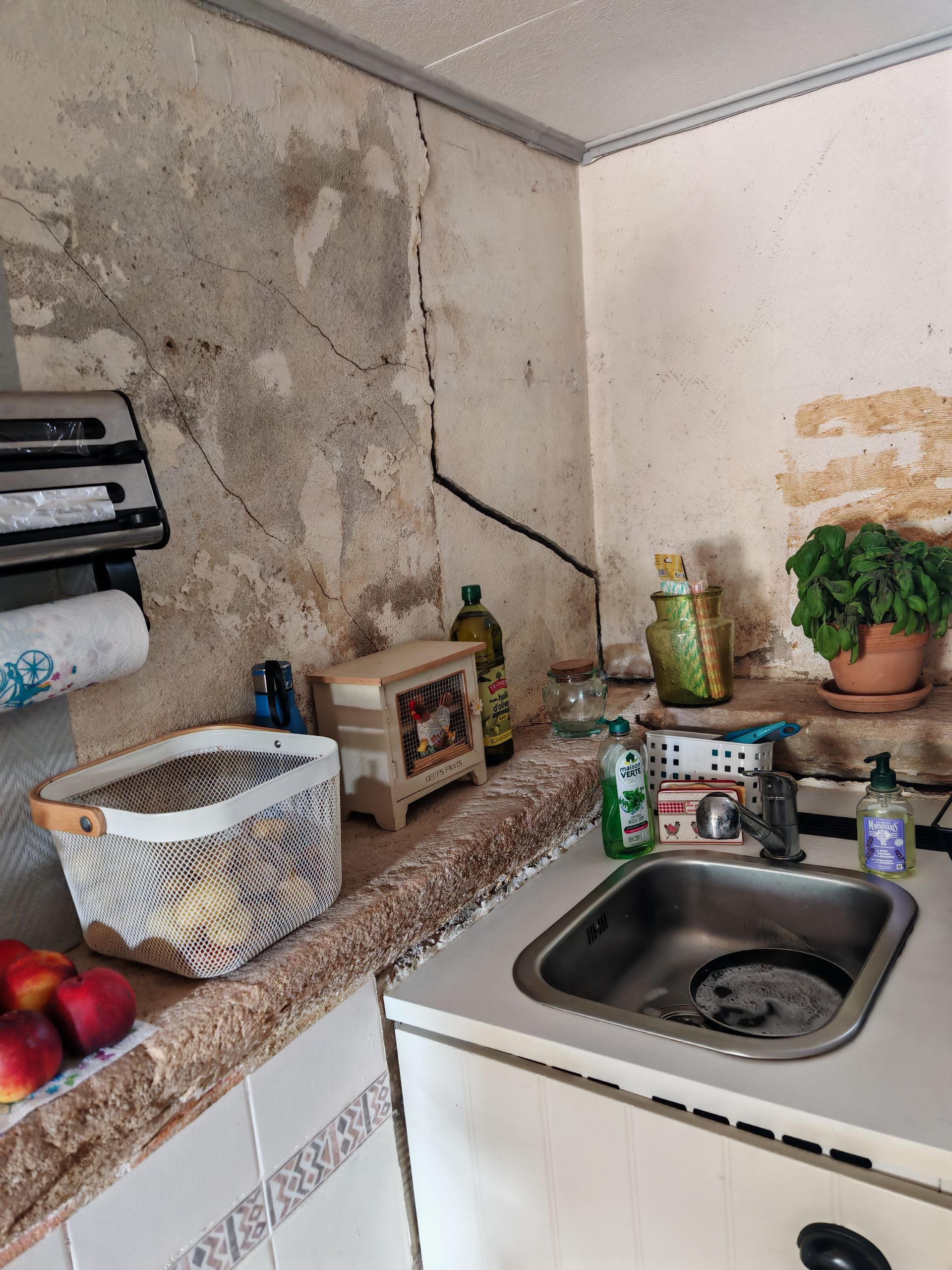 Petit coin cuisine avec un évier, un plan de travail encombré de vaisselle, de bouteilles et une plante en pot contre des murs abîmés avec des traces d'humidité.