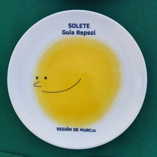 Icono de marcador de posición gris claro con un sol y montañas sobre fondo blanco