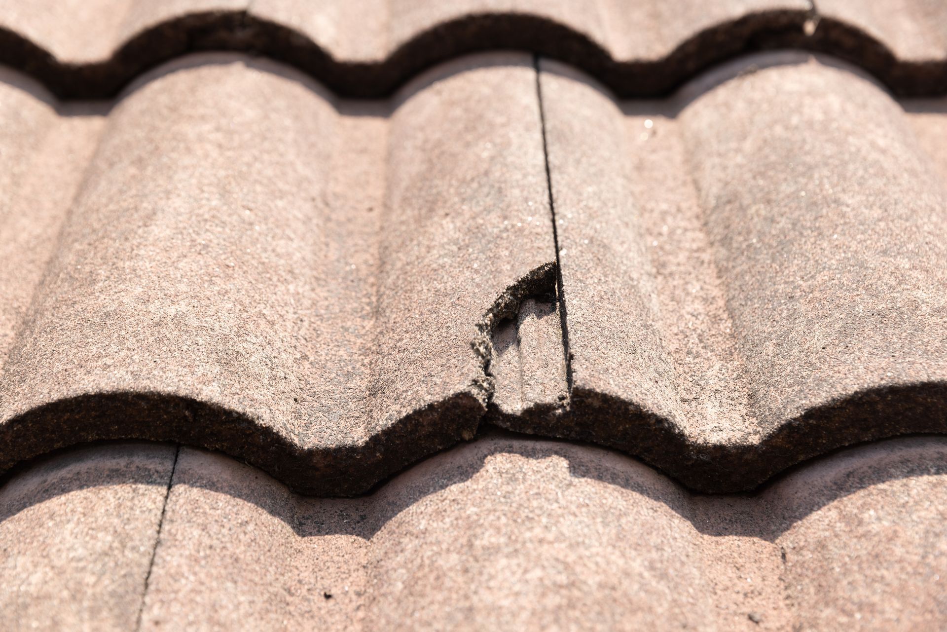 Gros plan sur une tuile de toit beige texturée et abîmée, montrant un éclat et une fissure.
