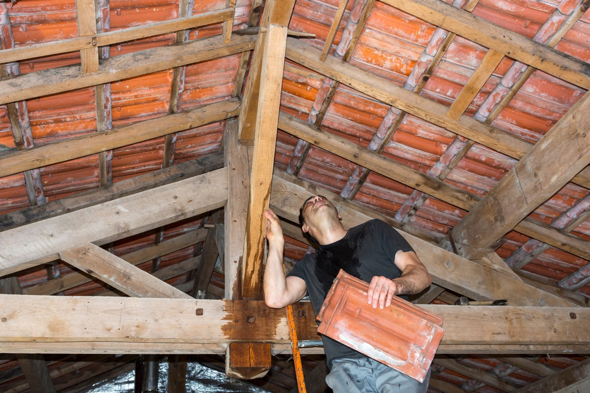 Dans un grenier, une personne inspecte une poutre de soutien en bois humide et tachée sous le toit.