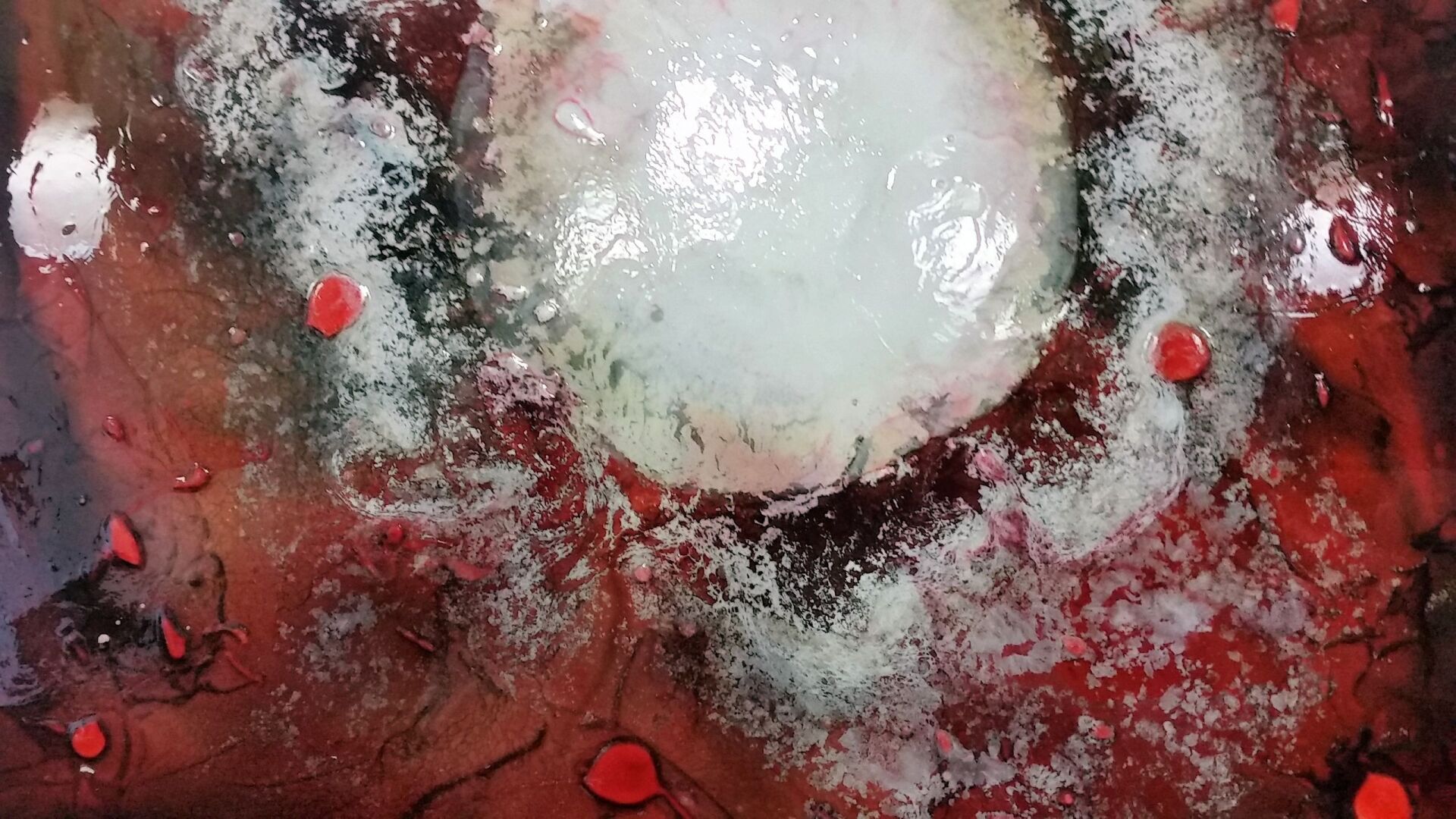 Impressionen aus unserem Sortiment